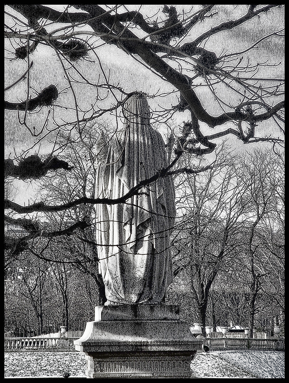 Winter Trees & Statues in the Luxembourg Gardens