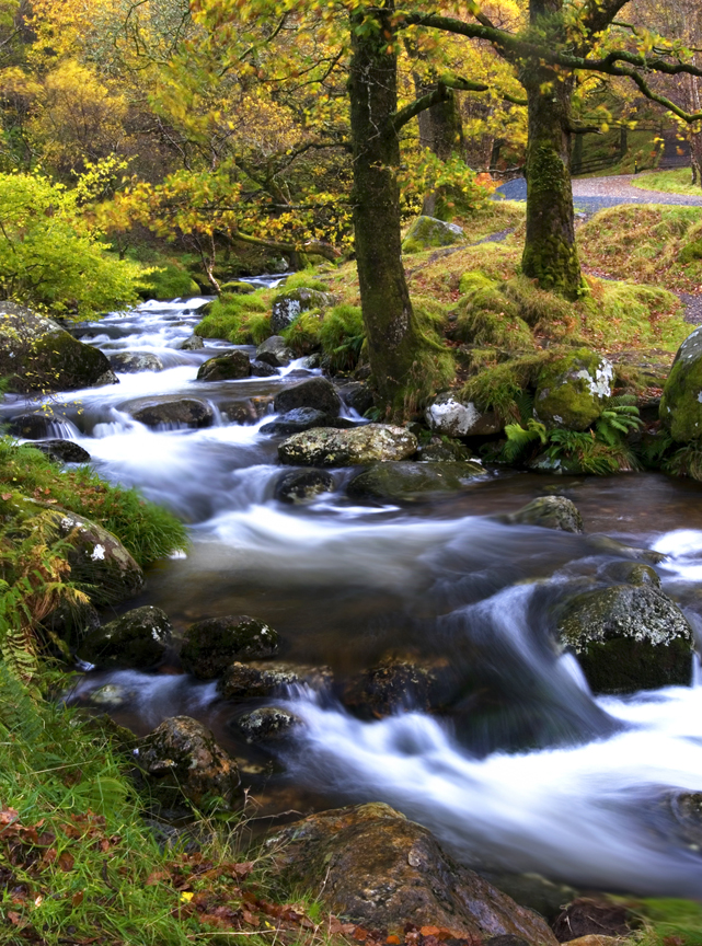 The Wild Wicklow Mountains