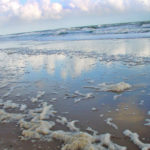 BEACH FROTH