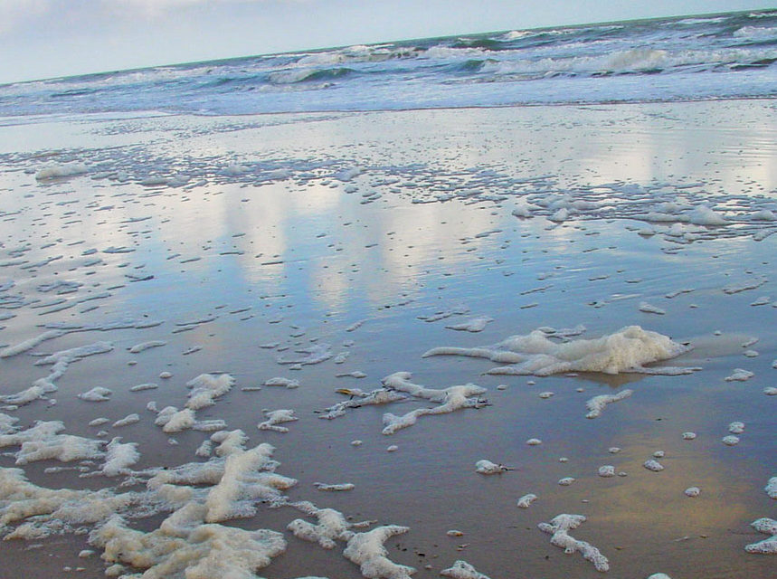 BEACH FROTH